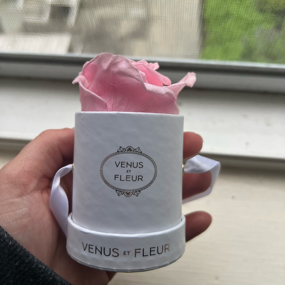 Venus et Fleur Light pink rose